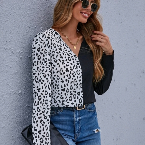 Colorblock Leopard V-Neck Blouse - Picture 4 of 8